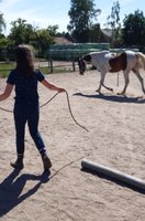 Verbinding met je paard